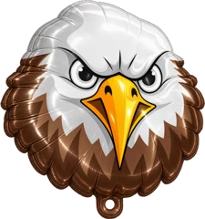 White headed eagle