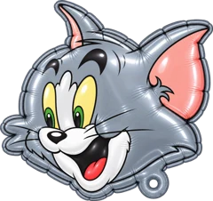 Grey cat