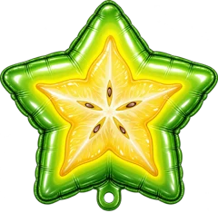 Starfruit slice