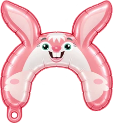 Pink rabbit