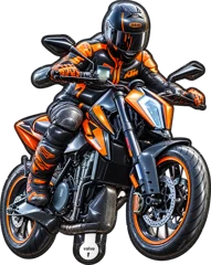 Motorcycle with rider